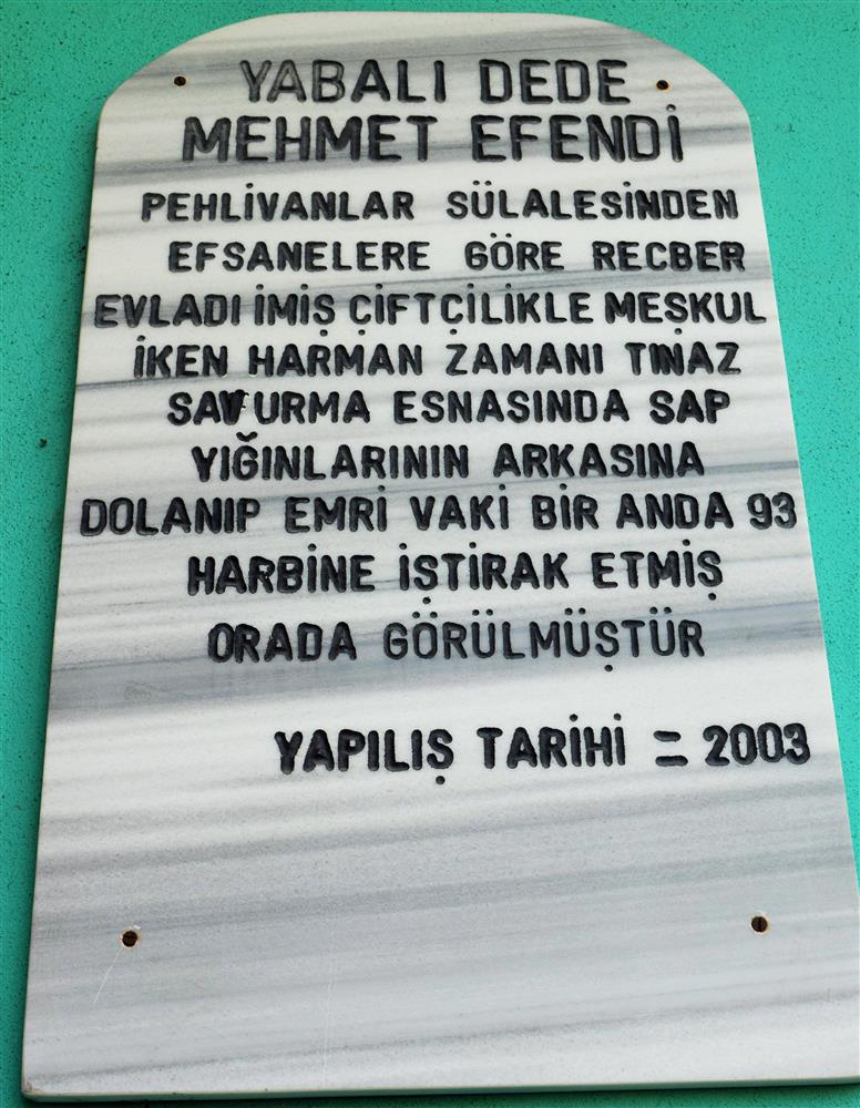 Yabalı Dede Mehmet Efendi Türbesi_Düzce İl Kültür ve Turizm Müdürlüğü (18).JPG