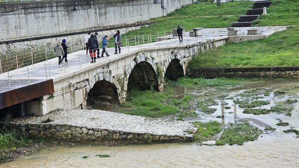 fdssf 7 .jpg fdssf 7 .jpg