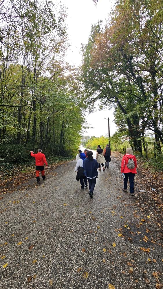 fdssf 5 .jpg fdssf 5 .jpg